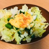 レタス　きゅうり　フムス　サラダ